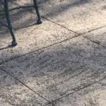 west michigan concrete patio cleaning service on dirty cement